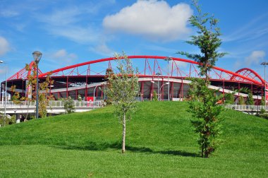 Futbol Benfica