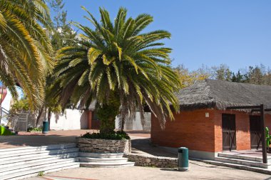 tuğla ev thatched çatı