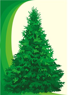 Tree fir clipart