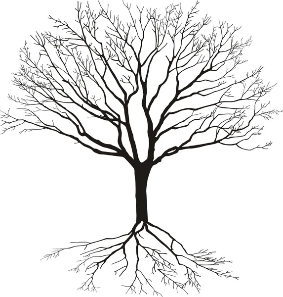 Silhouet van de boom — Stockvector