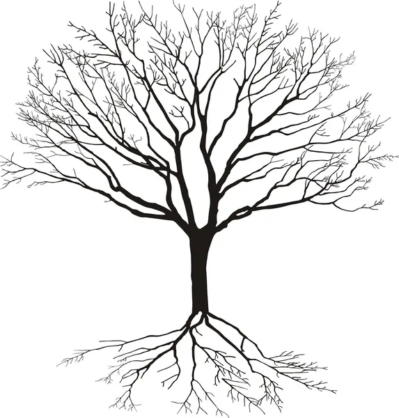 Silueta del árbol Gráficos vectoriales