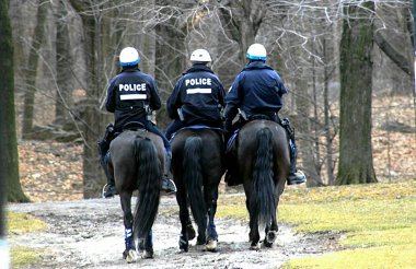 Horsing with the law clipart