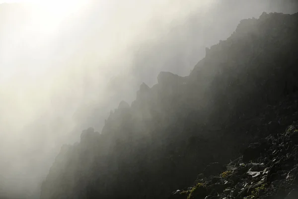 霧の朝. — ストック写真