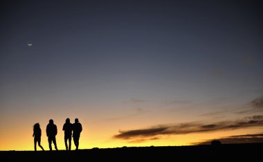 Silhouettes of against the night sky clipart