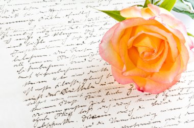 Red yellow rose over a hand written love letter clipart