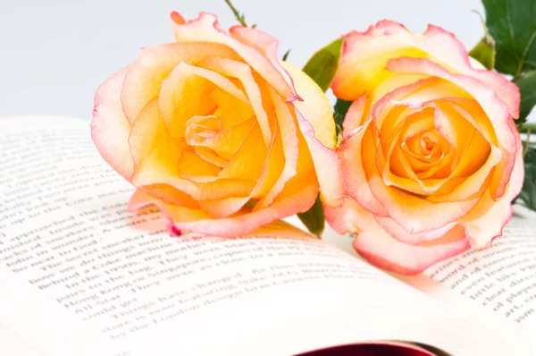 Rosa gialla rossa su un libro — Foto Stock