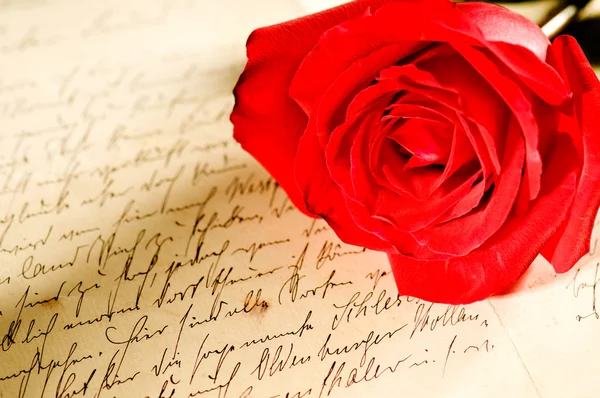 Rosa roja sobre una carta escrita a mano — Foto de Stock