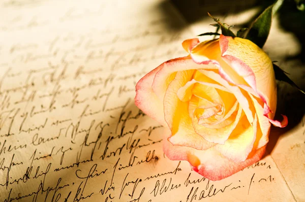 Rote Gelbe Rose Über Einem Handgeschriebenen Liebesbrief — Stockfoto