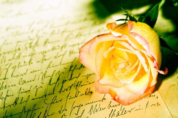 Rosa Roja Amarilla Sobre Una Carta Amor Escrita Mano — Foto de Stock