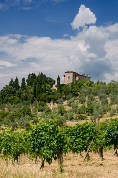 Villa Toscana Toscana Italia Rodeada Vino Paisaje Verano —  Fotos de Stock
