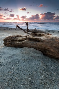 Old tree trunk on a beach during sunset with glowing sky clipart