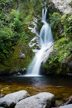 Dorothy Falls, Lake Kaniere clipart