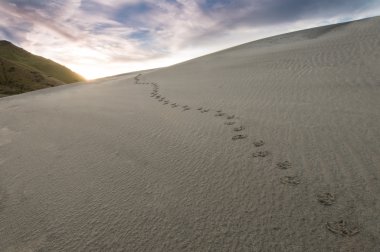 Footprints in sand clipart