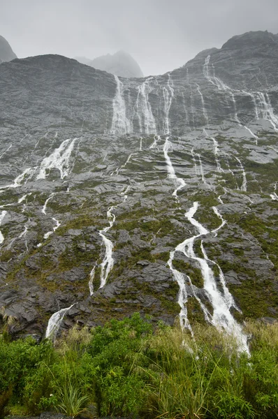Los numerosos saltos de agua en duchas de lluvia — Stok fotoğraf