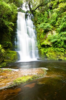 McLean Falls in the Catlins clipart