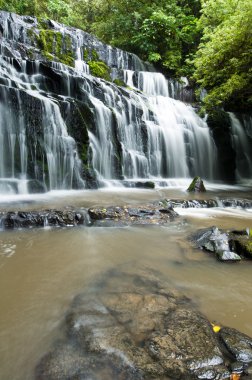 purakanui catlins bölge Güney otago düşüyor