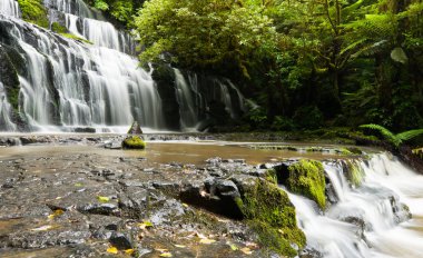 purakanui catlins bölge Güney otago düşüyor