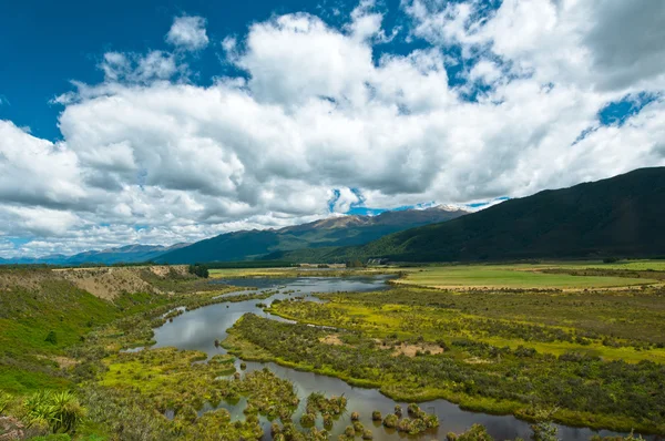 Waiau river wetland South New Zealand — Stock Photo, Image