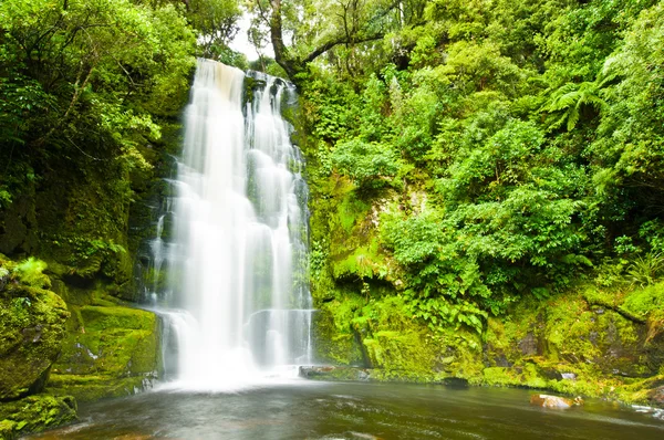 Stock image Mac Lean Falls in the Catlins