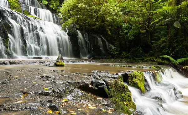 stock image Purakanui Falls Catlins District South Otago