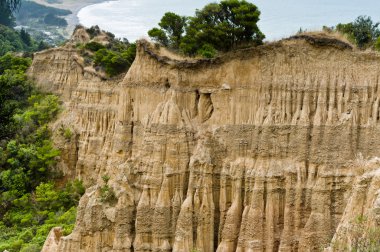 Katedral kayalıklarla south Island Yeni Zelanda