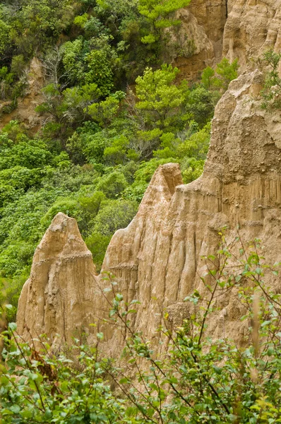 Соборные скалы Южного острова Новой Зеландии — стоковое фото