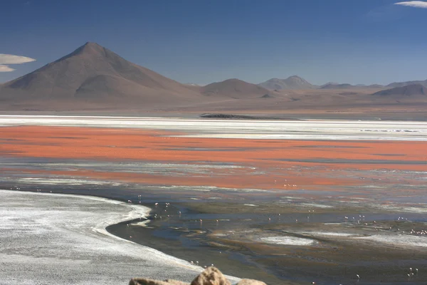 Laguna colorado und berg — Stockfoto