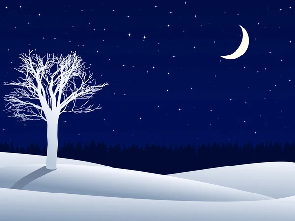 Noite paisagem inverno — Fotografia de Stock