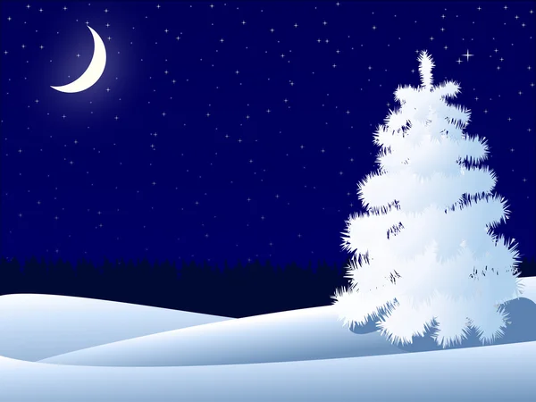 Notte paesaggio invernale — Foto Stock