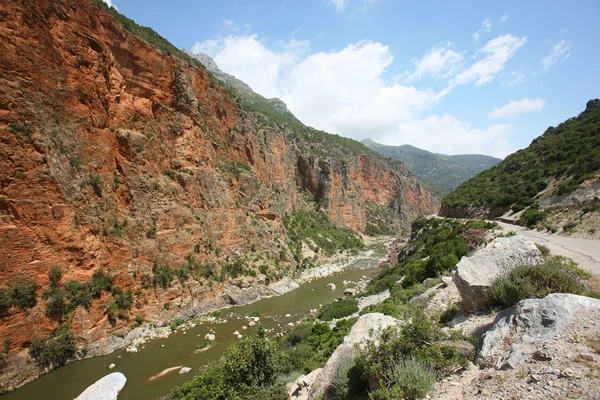 stock image Small river