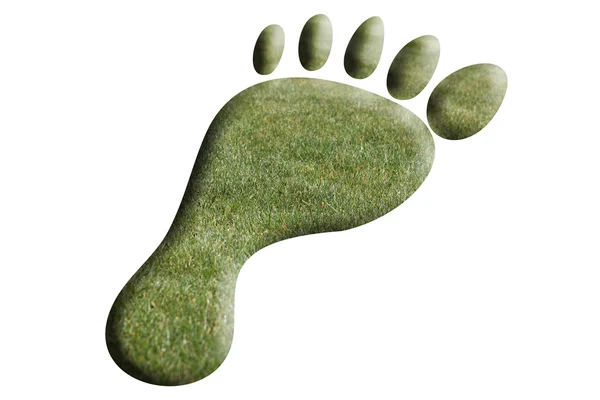Foot of grass — Stock Photo, Image