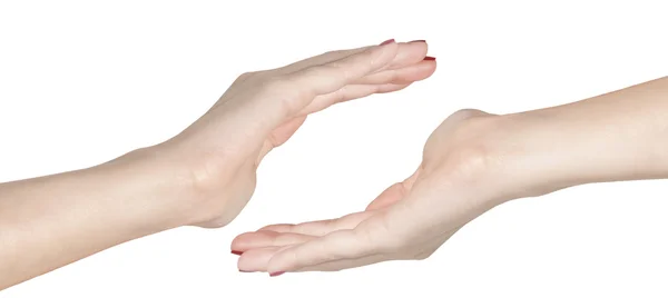 Dwie ręce odizolowane na białym tle — Zdjęcie stockowe