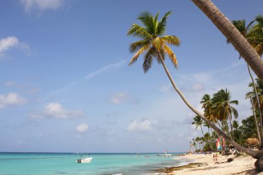 Bayahibe beach clipart