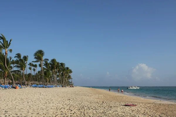 Домініканський пляж — стокове фото