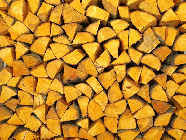 Krásné dřevo z Olše dřevo. — Stock fotografie