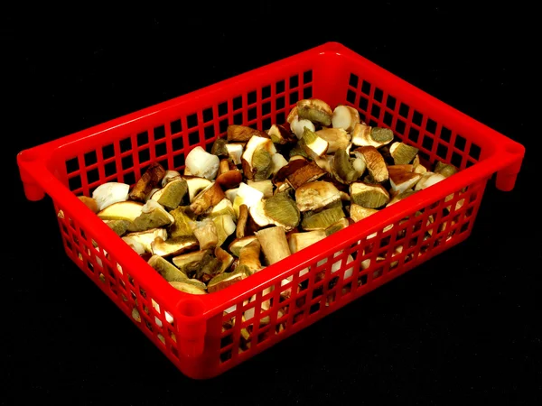 Szeletelt Gombát Fekete Háttér Piros Műanyag Dobozban — Stock Fotó