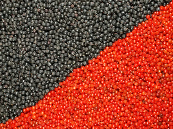 Background from black and red berries — Stock Photo, Image