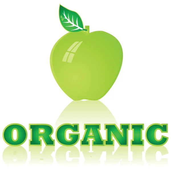 Organic apple — Stock Vector