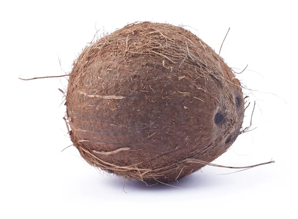 Dojrzały kokos — Zdjęcie stockowe