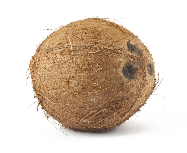 Коричневий кокосового — стокове фото