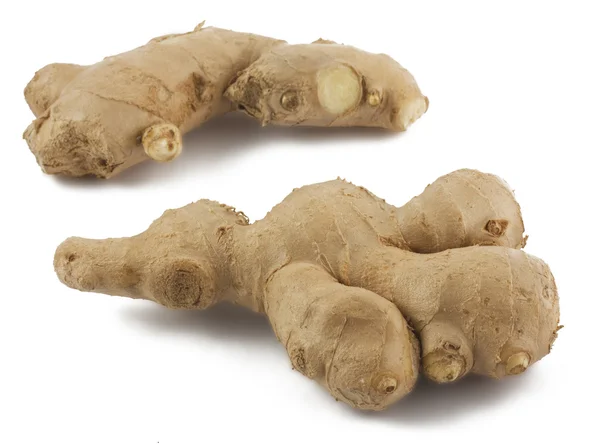 Two ginger roots — Stock Photo, Image