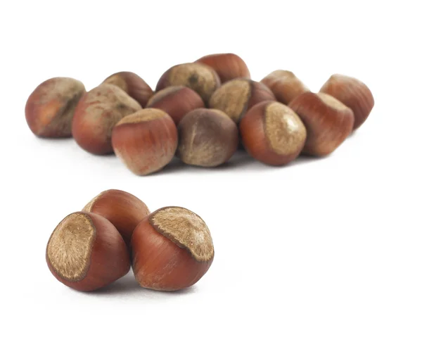 Haselnuts op witte achtergrond — Stockfoto