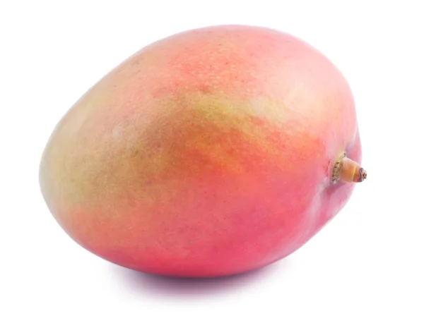 Стиглий плід манго — стокове фото
