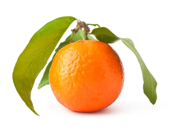 Mandarine Mit Blättern Isoliert Auf Weiß — Stockfoto