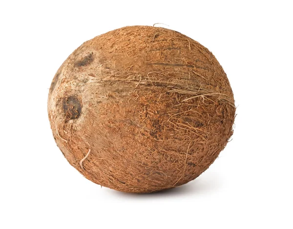 Стиглі кокосового — стокове фото