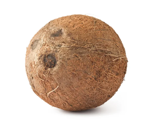 Frische reife Kokosnuss — Stockfoto