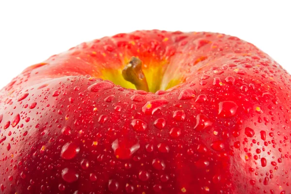 Rött Äpple Makro Isolerad Vit Bakgrund — Stockfoto