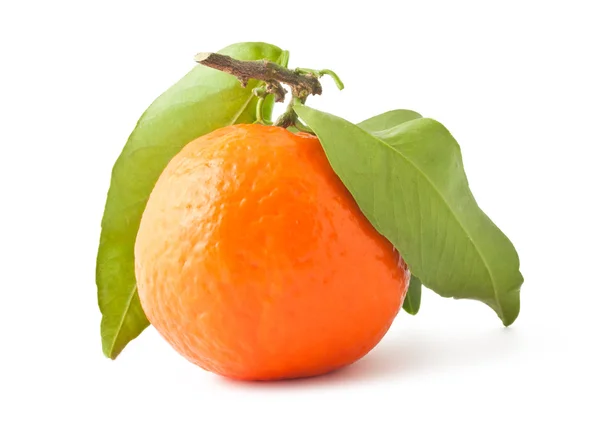 Mandarina con hojas — Foto de Stock