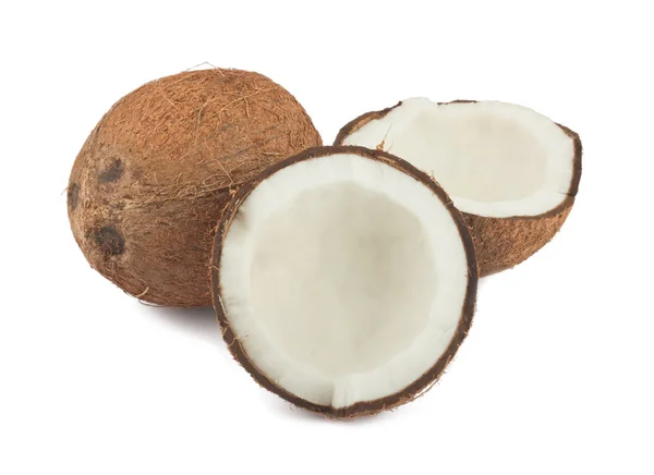 신선한 코코넛 — 스톡 사진