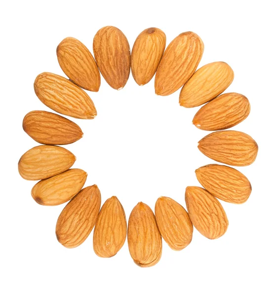 Nueces de almendra en un círculo — Foto de Stock
